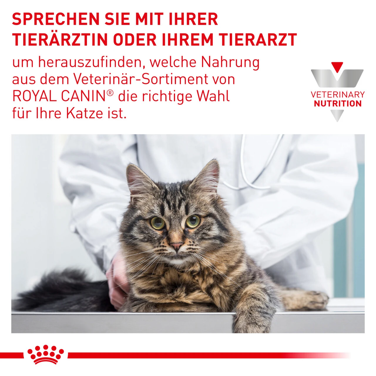 Royal Canin Urinary S/O Moderate Calorie Trockenfutter Für Katzen 8 Royal Canin Urinary S/O Moderate Calorie Trockenfutter Für Katzen – Bild 8