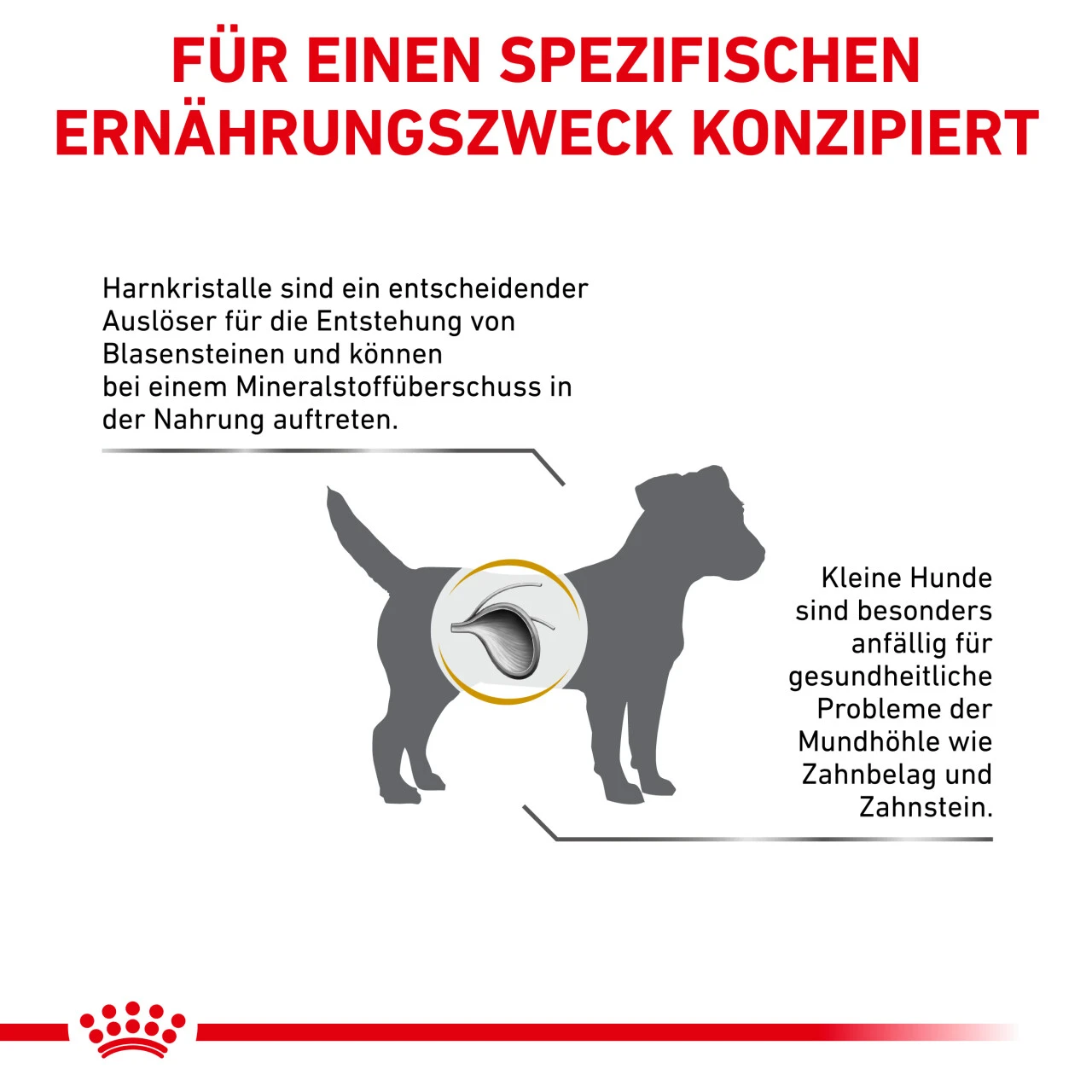 Royal Canin Urinary S/O Small Dogs Trockenfutter Für Hunde 6 Royal Canin Urinary S/O Small Dogs Trockenfutter Für Hunde – Bild 6