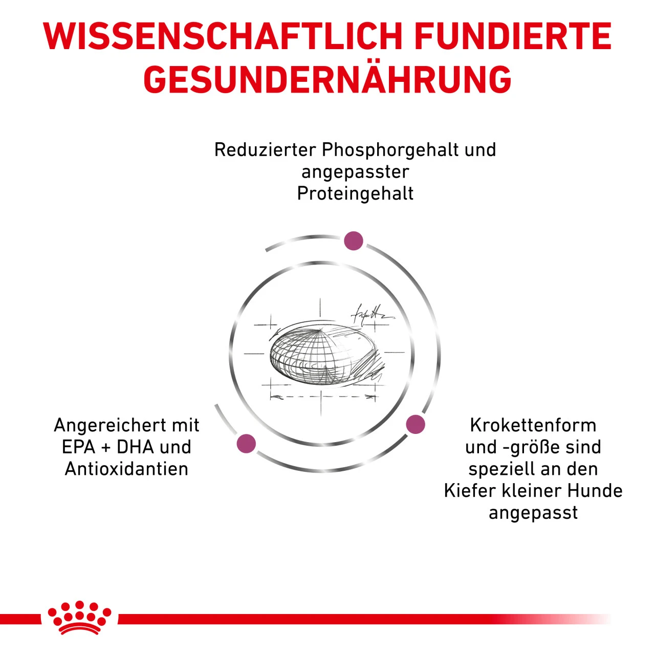 Royal Canin Renal Small Dogs Trockenfutter Für Hunde 6 Royal Canin Renal Small Dogs Trockenfutter Für Hunde – Bild 6
