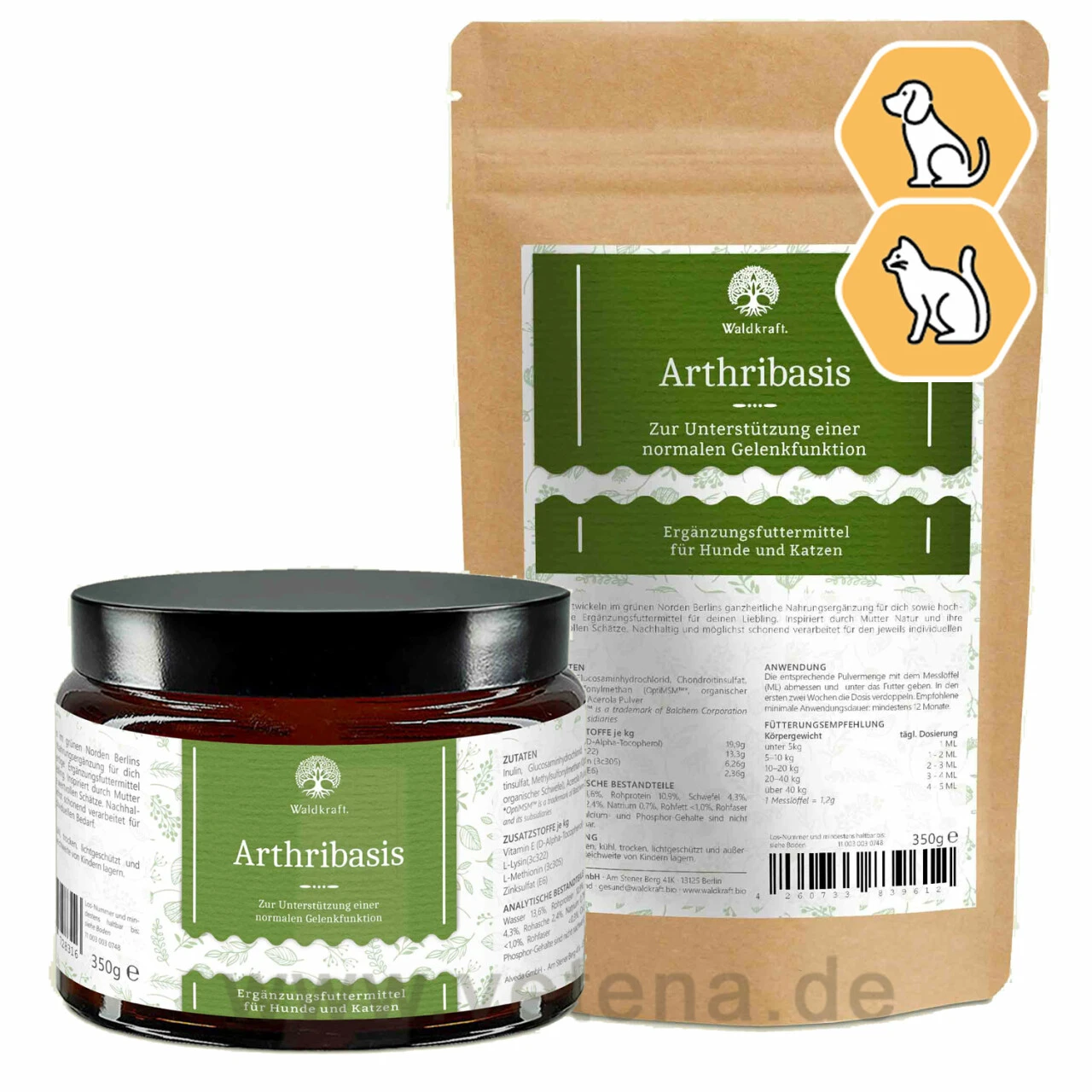 Arthribasis 1 Arthribasis