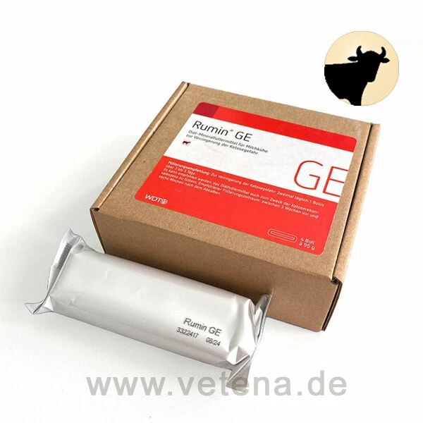 Rumin GE 1 Rumin GE